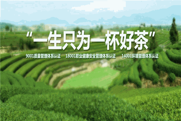 一杯香茶业