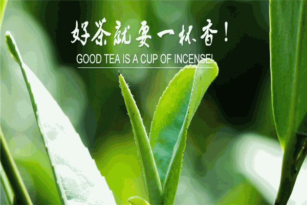 一杯香茶业