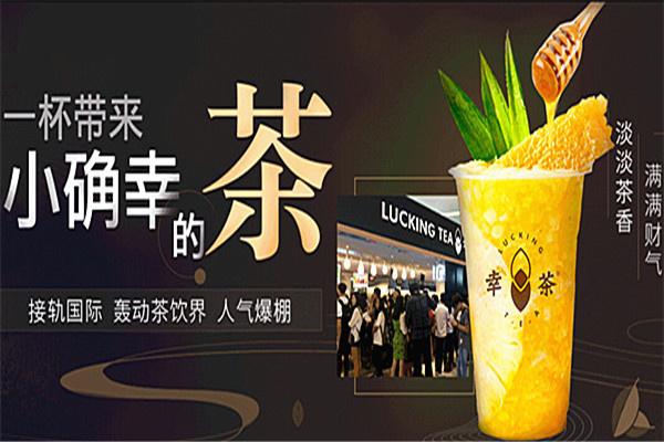 集茶号