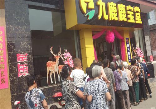 九鹿鹿宝堂