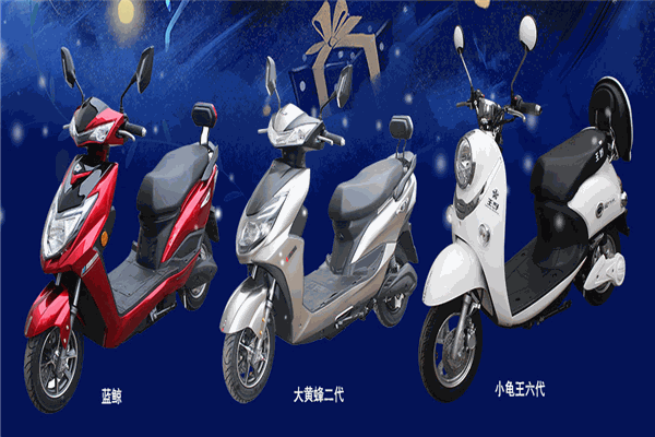 王野电动车