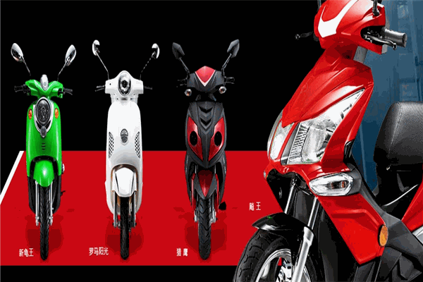 王野电动车