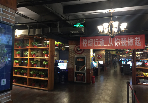 绿树网咖
