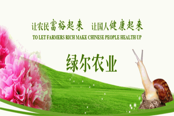 绿尔白玉蜗牛