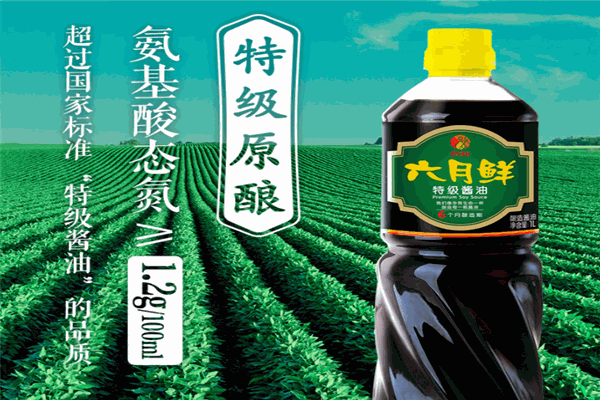 六月鲜调味品