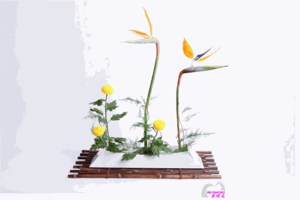 美诗尼花艺培训学校