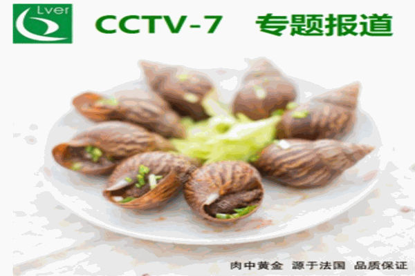 绿尔白玉蜗牛