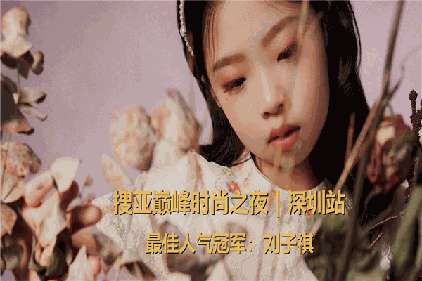 世纪星辉艺术培训