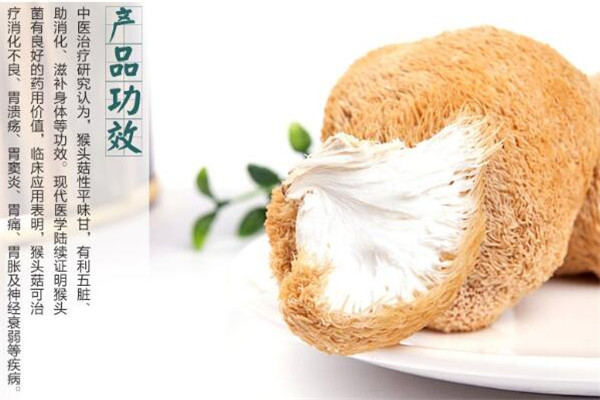 长白山特产加盟