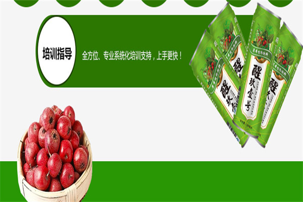 醒玖壹号加盟