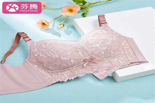 芬腾内衣