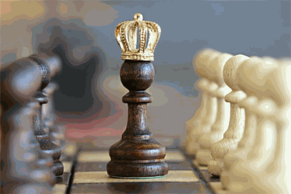 羽弈国际象棋俱乐部