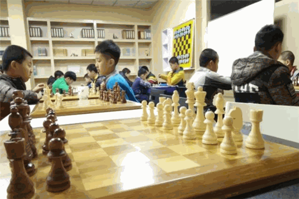 树龙国际象棋俱乐部
