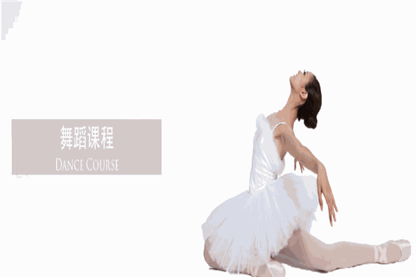 天元盛美国际艺术教育