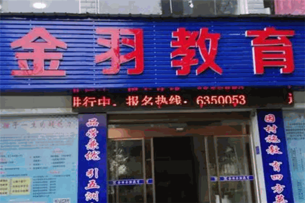 金羽艺术高考
