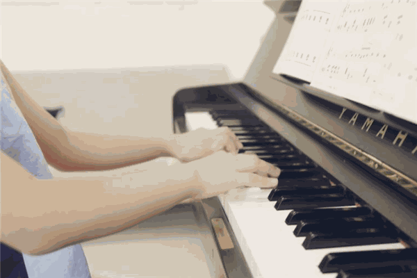 爱雅音乐教育