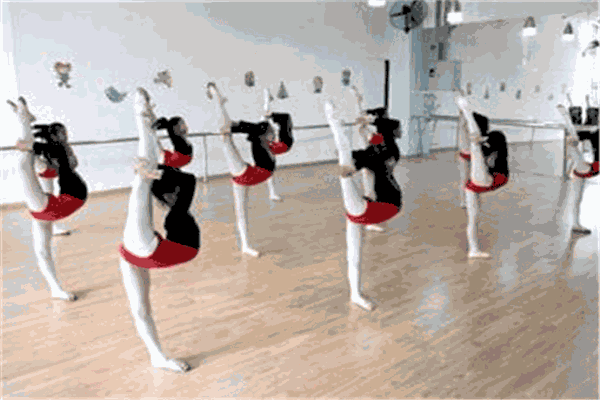 舞之韵艺术培训中心