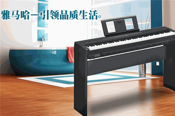 艾威乐器品牌零售店