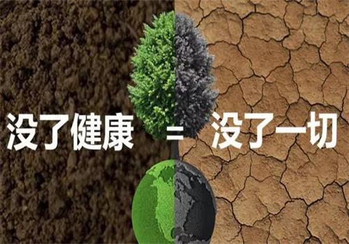 大健康保健