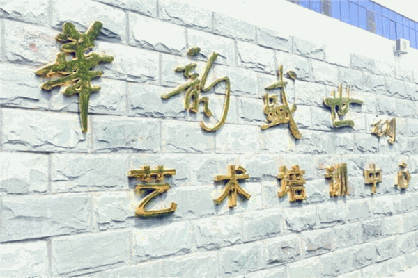 华韵盛世艺术培训中心
