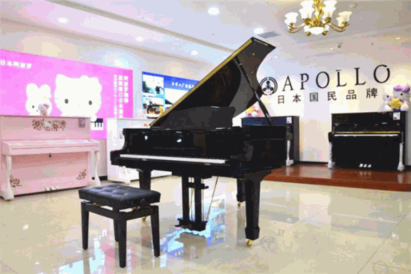 APOLLO钢琴演奏艺术琴行钢琴培训