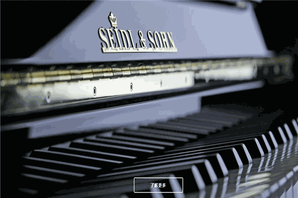塞德尔钢琴