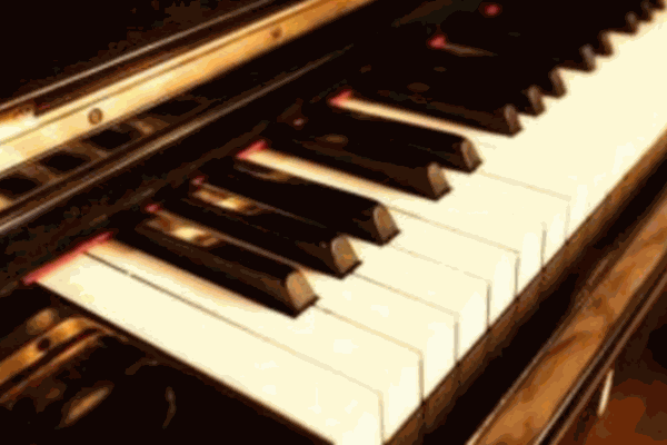 sunshine钢琴