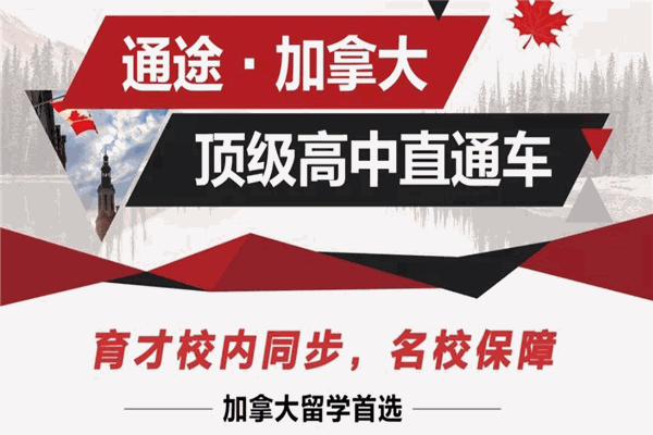 通途国际教育