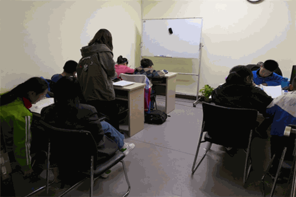 龙腾艺术生文化课培训