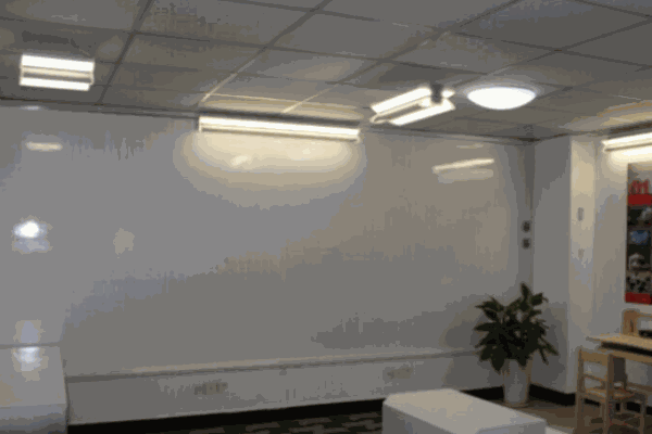 蝠翼灯具