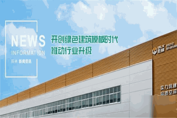 旺林中空塑料模板