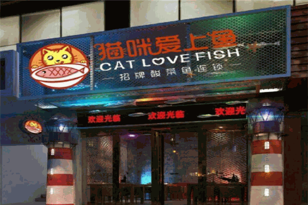 猫爱上鱼酸菜鱼