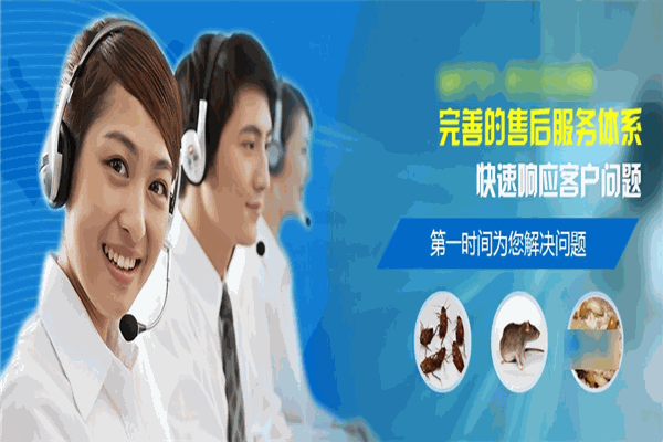 邦卓虫控