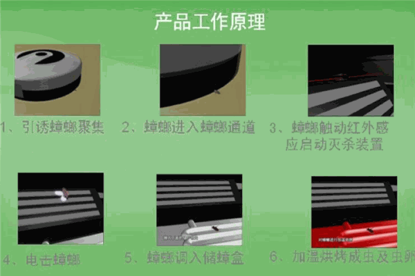 力群牌电子灭蟑螂器