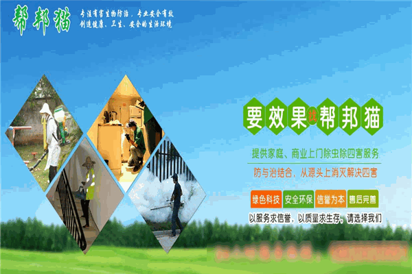 帮邦猫虫控灭鼠