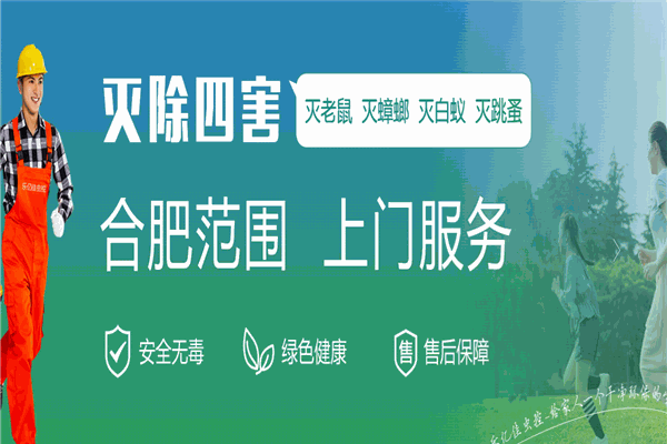乐亿佳虫控
