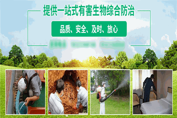 仁民灭老鼠