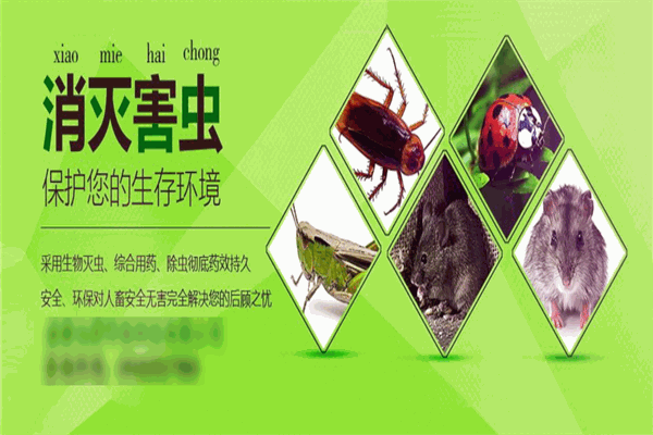 逸尔虫控