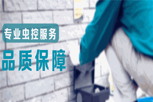 邦卓虫控