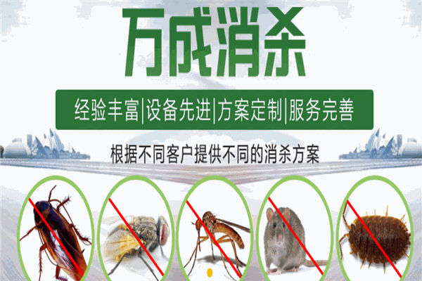 万成消杀服务