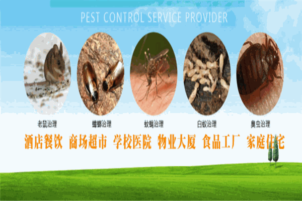逸尔虫控