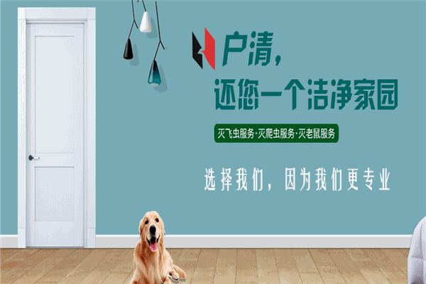 户清虫控