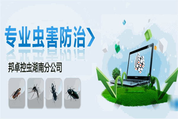 邦卓虫控