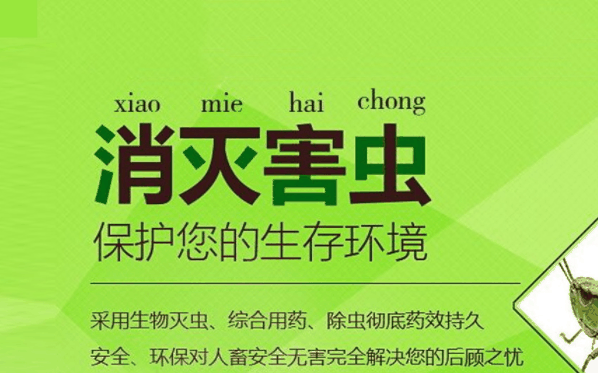 绿盾虫控