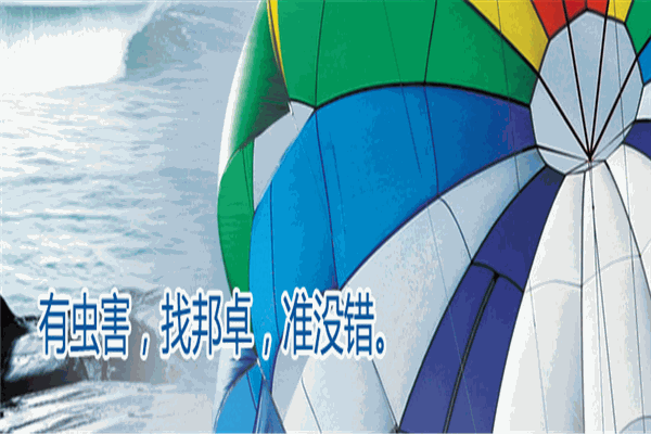 邦卓虫控