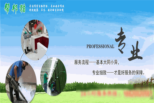 帮邦猫虫控灭鼠