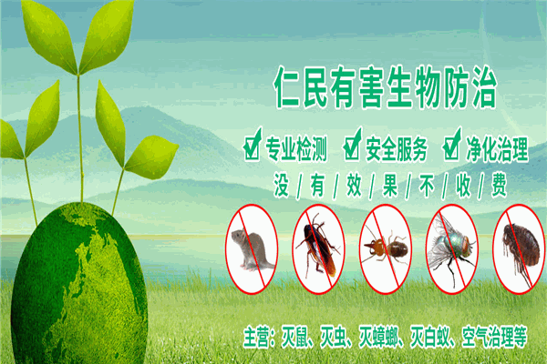 仁民灭老鼠