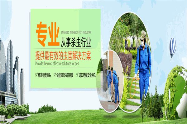 逸尔虫控