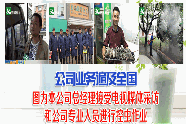 力绝虫控