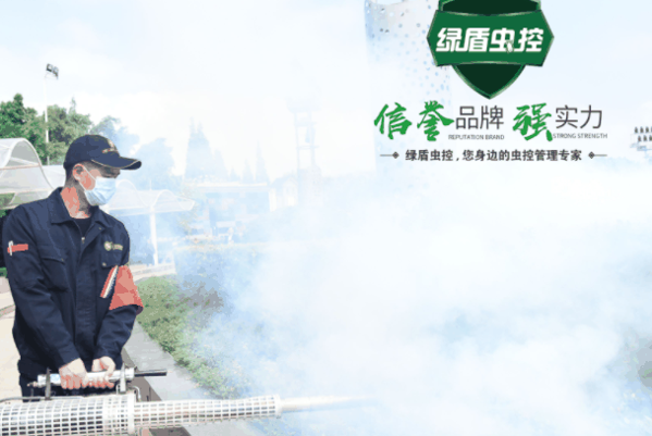 绿盾虫控